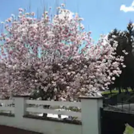 Daire Spacieux, Lumineux Et Tres Cosy