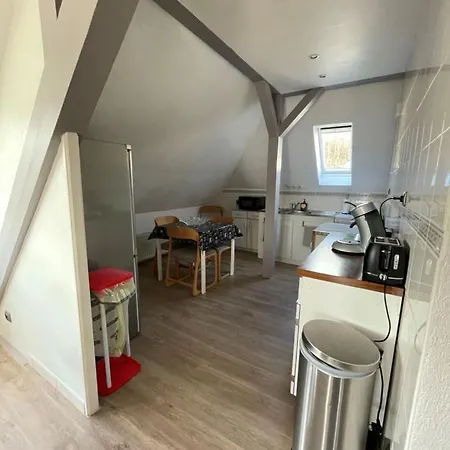 Spacieux, Lumineux Et Tres Cosy Lautenbach