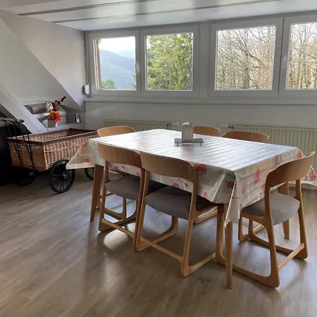 Spacieux, Lumineux Et Tres Cosy Daire